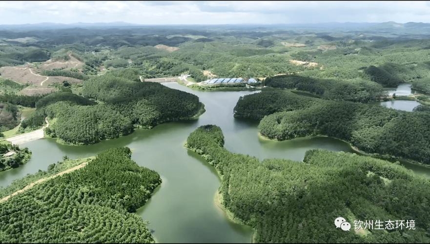 钦州市灵山生态环境局联合相关部门开展畜禽养殖污染联合执法行动